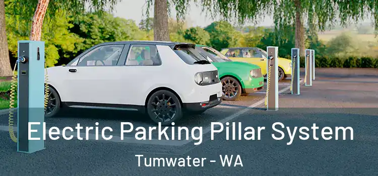 Electric Parking Pillar System Tumwater - WA