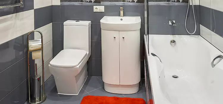 Hansgrohe Shaving Mirror Tumwater