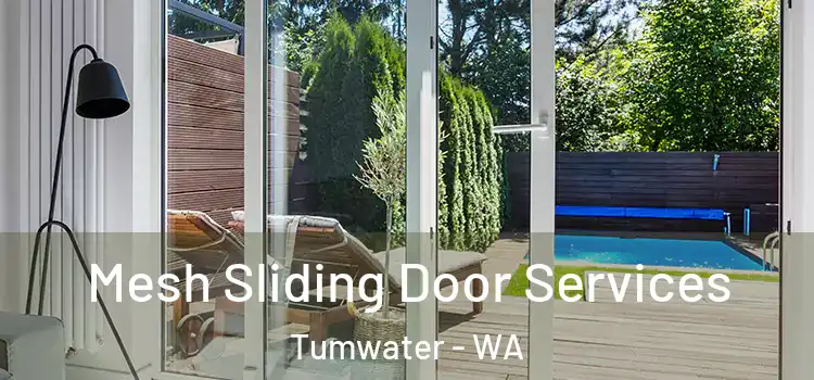 Mesh Sliding Door Services Tumwater - WA